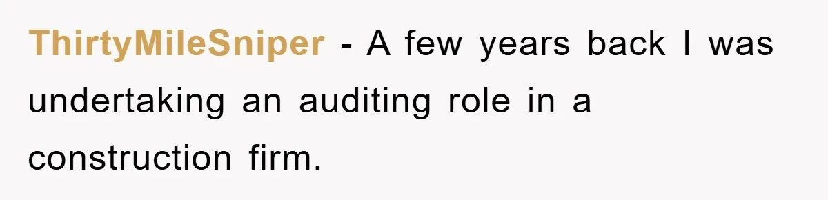 ThirtyMileSniper − A few years back I was undertaking an auditing role in a construction firm.