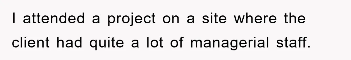 I attended a project on a site where the client had quite a lot of managerial staff.