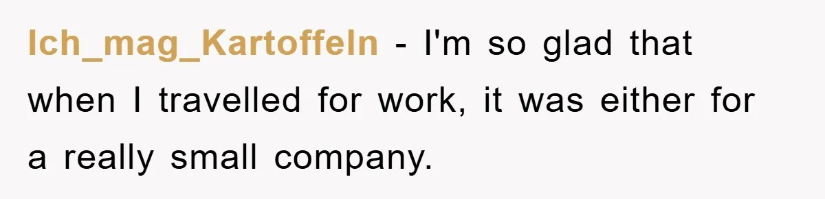 Ich_mag_Kartoffeln − I'm so glad that when I travelled for work, it was either for a really small company.
