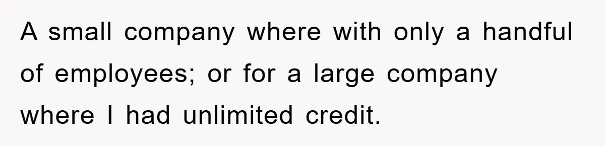 A small company where with only a handful of employees; or for a large company where I had unlimited credit.