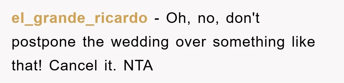 el_grande_ricardo - Oh, no, don't postpone the wedding over something like that! Cancel it. NTA