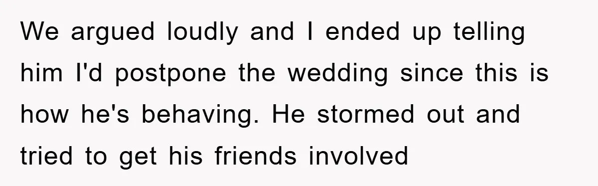 We argued loudly and I ended up telling him I'd postpone the wedding since this is how he's behaving. He stormed out and tried to get his friends involved