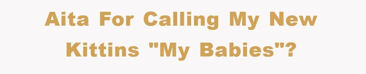 AITA for calling my new kittins "my babies"?