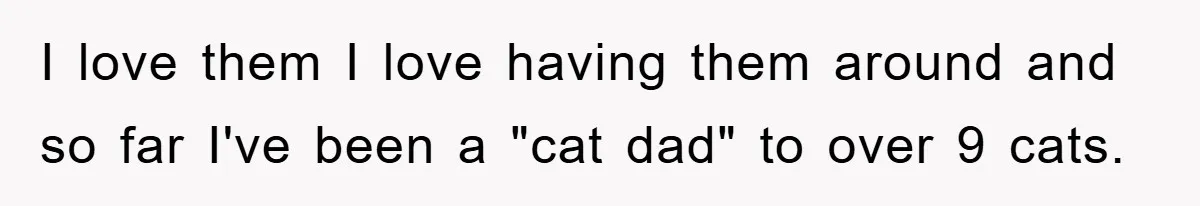 I love them I love having them around and so far I've been a "cat dad" to over 9 cats.