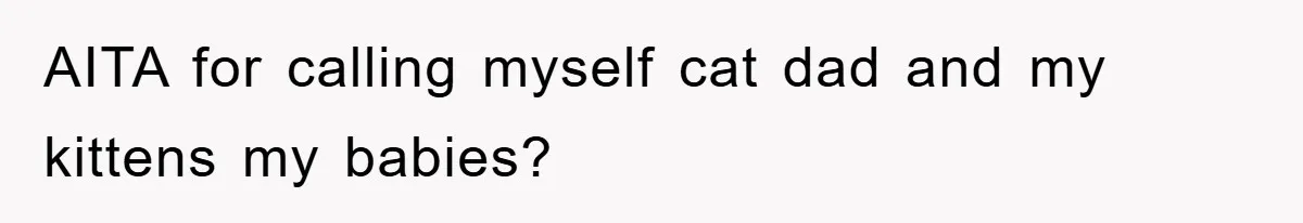 AITA for calling myself cat dad and my kittens my babies?