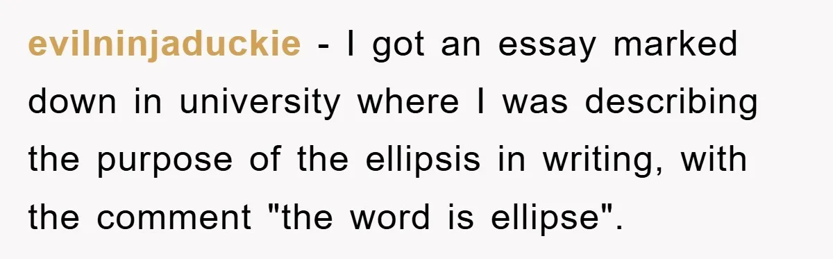 Supervisor Said No Abbreviations, He Obeyed, And Confused Everyone With ‘Ante Meridiem’ evilninjaduckie − I got an essay marked down in university where I was describing the purpose of the ellipsis in writing, with the comment "the word is ellipse".