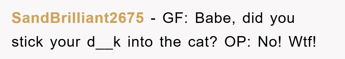 SandBrilliant2675 − GF: Babe, did you stick your d__k into the cat? OP: No! Wtf!