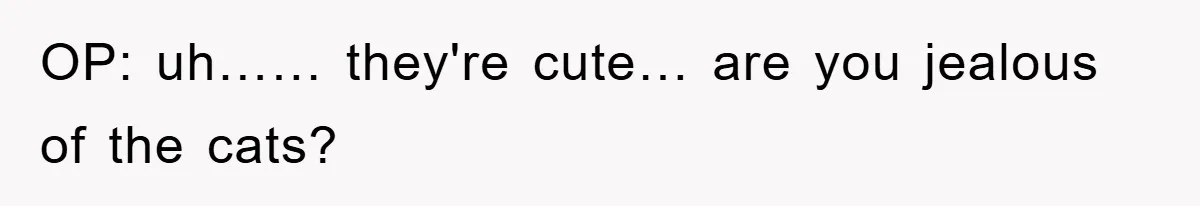 OP: uh…… they're cute… are you jealous of the cats?
