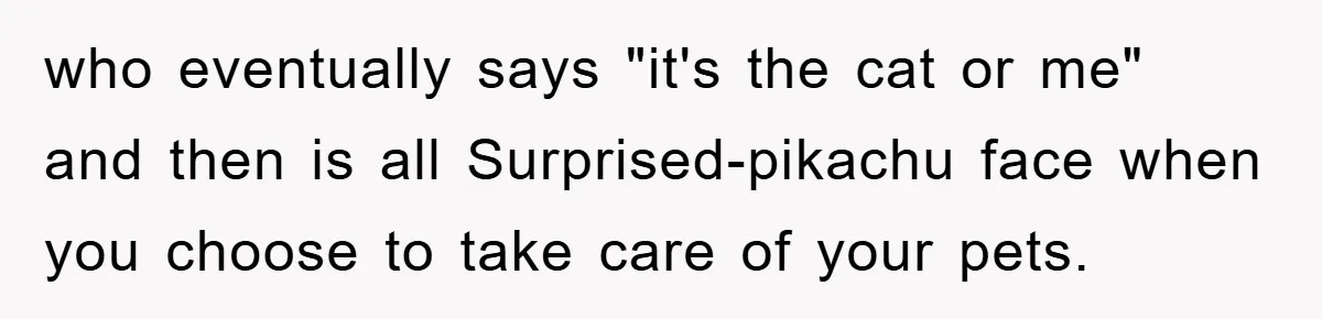 who eventually says "it's the cat or me" and then is all Surprised-pikachu face when you choose to take care of your pets.