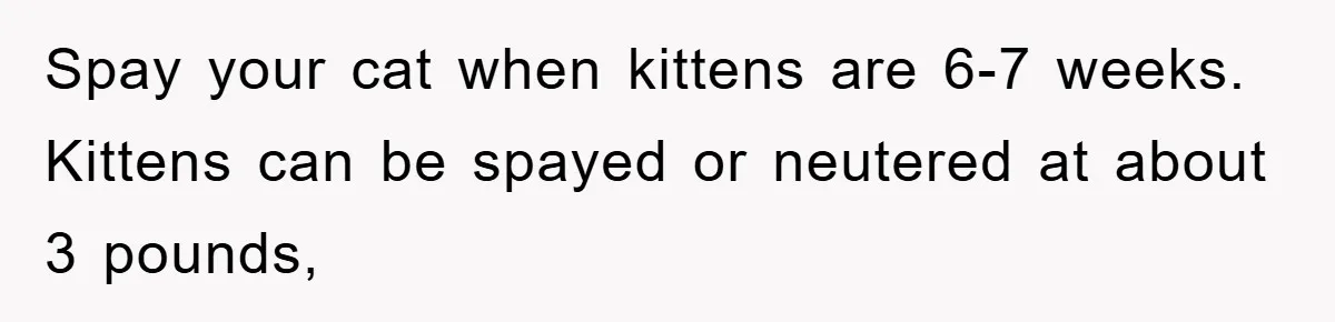Spay your cat when kittens are 6-7 weeks. Kittens can be spayed or neutered at about 3 pounds,