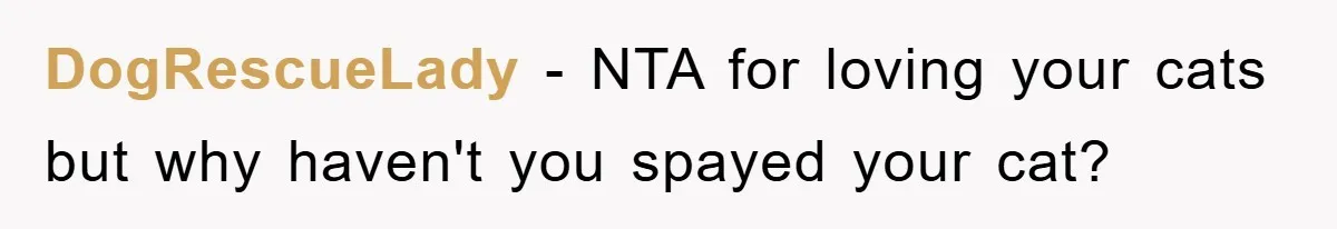DogRescueLady − NTA for loving your cats but why haven't you spayed your cat?