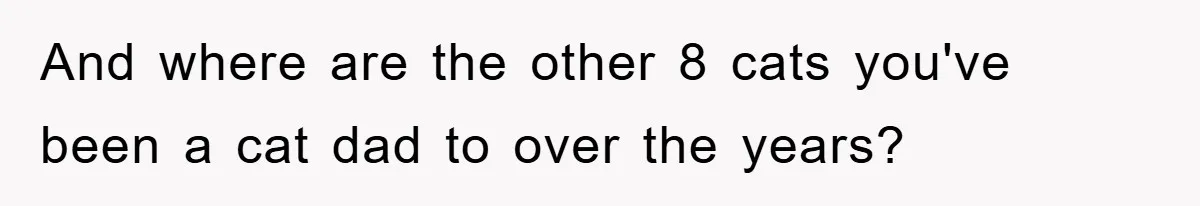 And where are the other 8 cats you've been a cat dad to over the years?