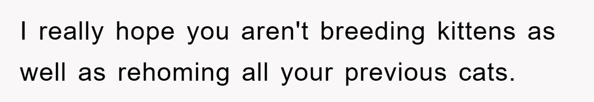 I really hope you aren't breeding kittens as well as rehoming all your previous cats.