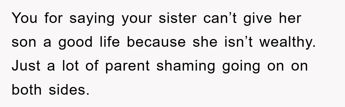 You for saying your sister can’t give her son a good life because she isn’t wealthy. Just a lot of parent shaming going on on both sides.