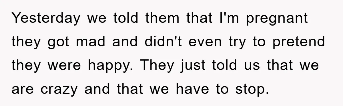 Yesterday we told them that I'm pregnant they got mad and didn't even try to pretend they were happy. They just told us that we are crazy and that we...
