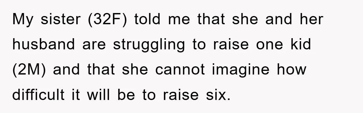 My sister (32F) told me that she and her husband are struggling to raise one kid (2M) and that she cannot imagine how difficult it will be to raise six.