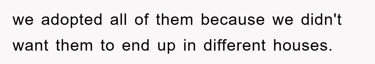 we adopted all of them because we didn't want them to end up in different houses.