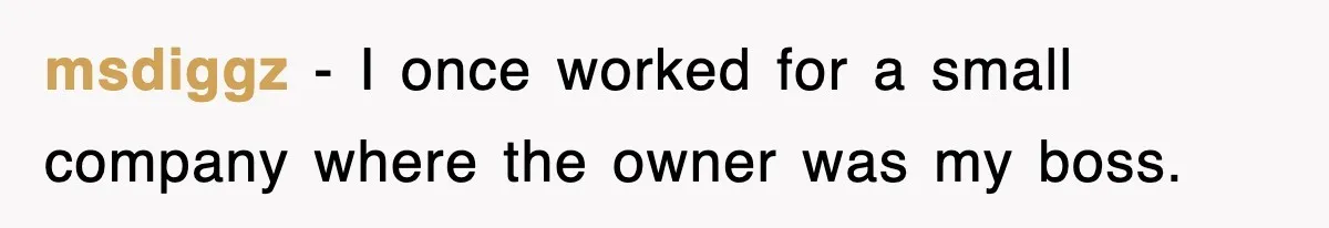 msdiggz − I once worked for a small company where the owner was my boss.