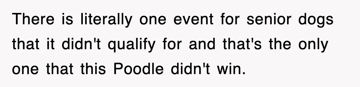 There is literally one event for senior dogs that it didn't qualify for and that's the only one that this Poodle didn't win.