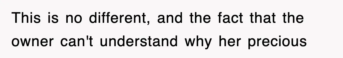 This is no different, and the fact that the owner can't understand why her precious