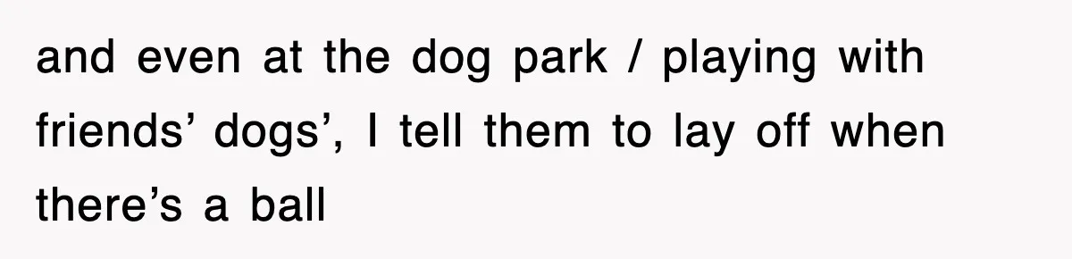 and even at the dog park / playing with friends’ dogs’, I tell them to lay off when there’s a ball