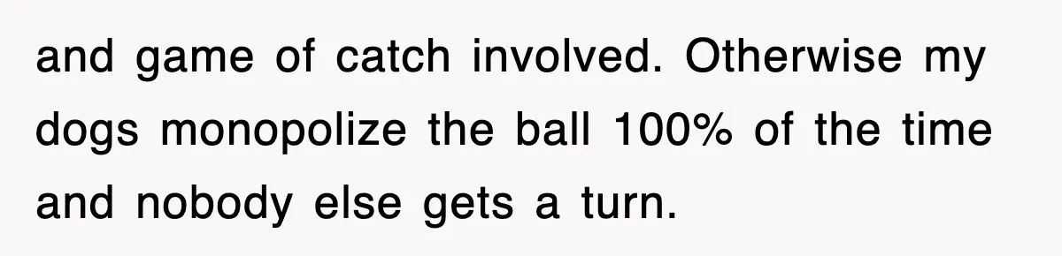 and game of catch involved. Otherwise my dogs monopolize the ball 100% of the time and nobody else gets a turn.