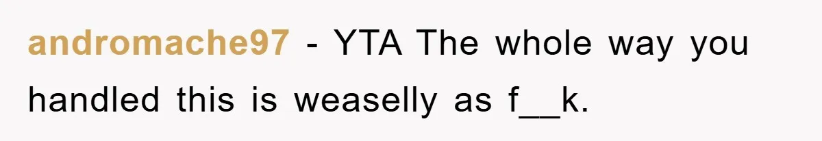 andromache97 − YTA The whole way you handled this is weaselly as f__k.
