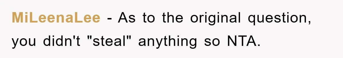 MiLeenaLee − As to the original question, you didn't "steal" anything so NTA.