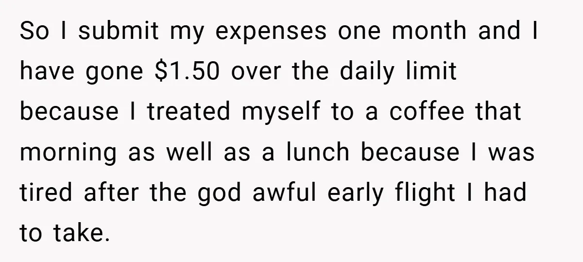 So I submit my expenses one month and I have gone $1.50 over the daily limit because I treated myself to a coffee that morning as well as a lunch...