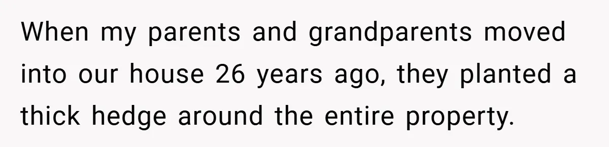 When my parents and grandparents moved into our house 26 years ago, they planted a thick hedge around the entire property.