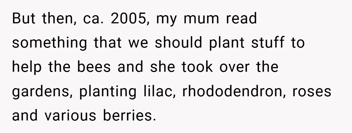 But then, ca. 2005, my mum read something that we should plant stuff to help the bees and she took over the gardens, planting lilac, rhododendron, roses and various berries.