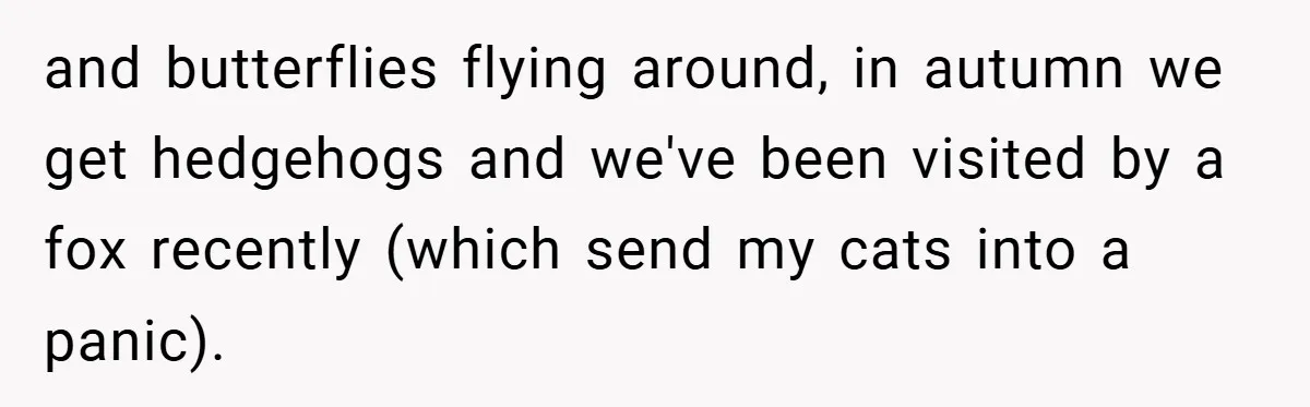 and butterflies flying around, in autumn we get hedgehogs and we've been visited by a fox recently (which send my cats into a panic).