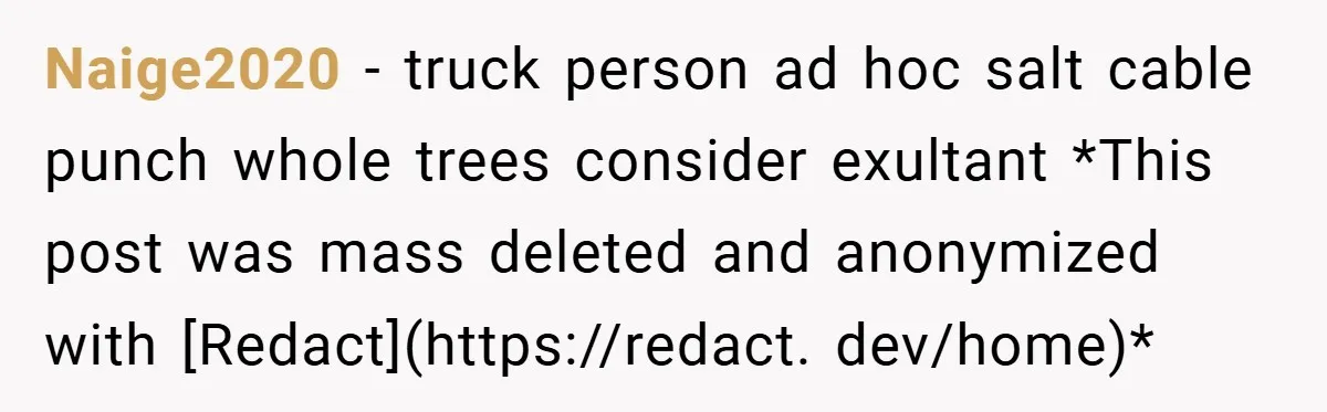 Naige2020 − truck person ad hoc salt cable punch whole trees consider exultant *This post was mass deleted and anonymized with [Redact](https://redact. dev/home)*