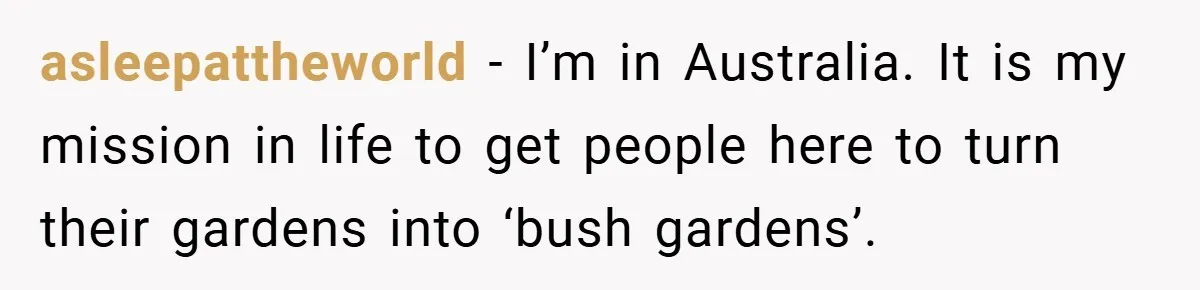 asleepattheworld − I’m in Australia. It is my mission in life to get people here to turn their gardens into ‘bush gardens’.