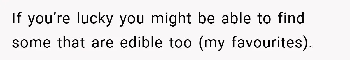 If you’re lucky you might be able to find some that are edible too (my favourites).
