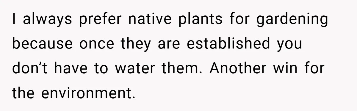 I always prefer native plants for gardening because once they are established you don’t have to water them. Another win for the environment.