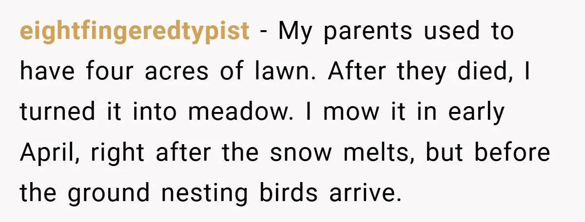 eightfingeredtypist − My parents used to have four acres of lawn. After they died, I turned it into meadow. I mow it in early April, right after the snow melts,...