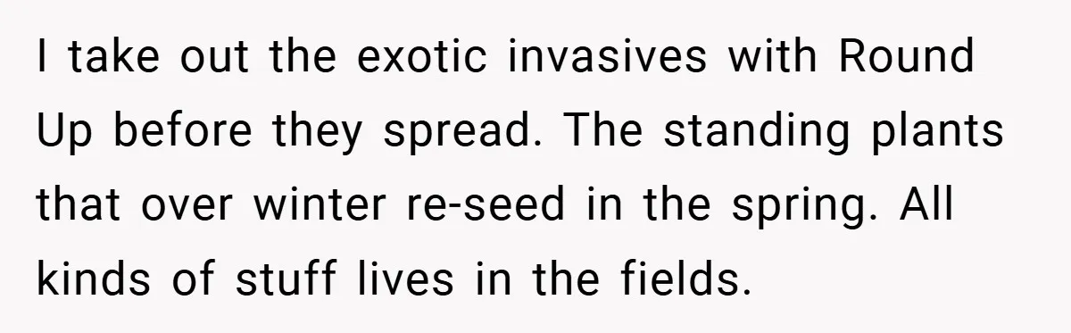 I take out the exotic invasives with Round Up before they spread. The standing plants that over winter re-seed in the spring. All kinds of stuff lives in the fields.