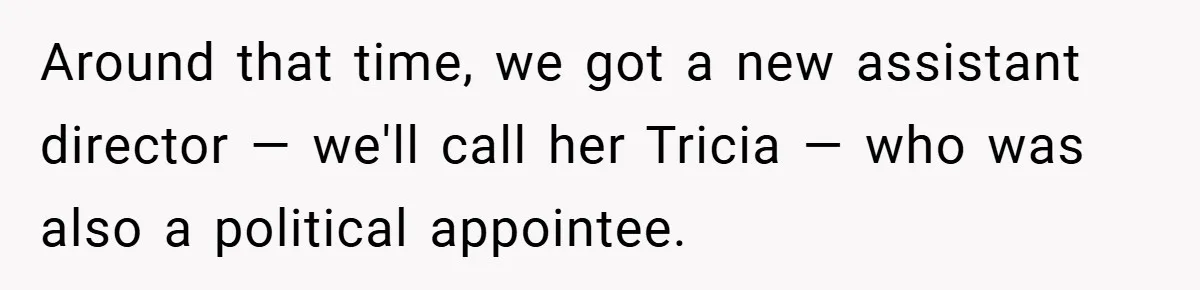 Around that time, we got a new assistant director — we'll call her Tricia — who was also a political appointee.