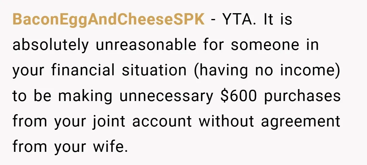 BaconEggAndCheeseSPK − YTA. It is absolutely unreasonable for someone in your financial situation (having no income) to be making unnecessary $600 purchases from your joint account without agreement from your...