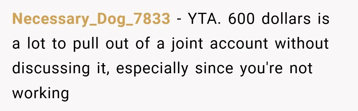 Necessary_Dog_7833 − YTA. 600 dollars is a lot to pull out of a joint account without discussing it, especially since you're not working