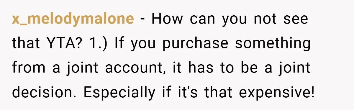 x_melodymalone − How can you not see that YTA? 1.) If you purchase something from a joint account, it has to be a joint decision. Especially if it's that expensive!