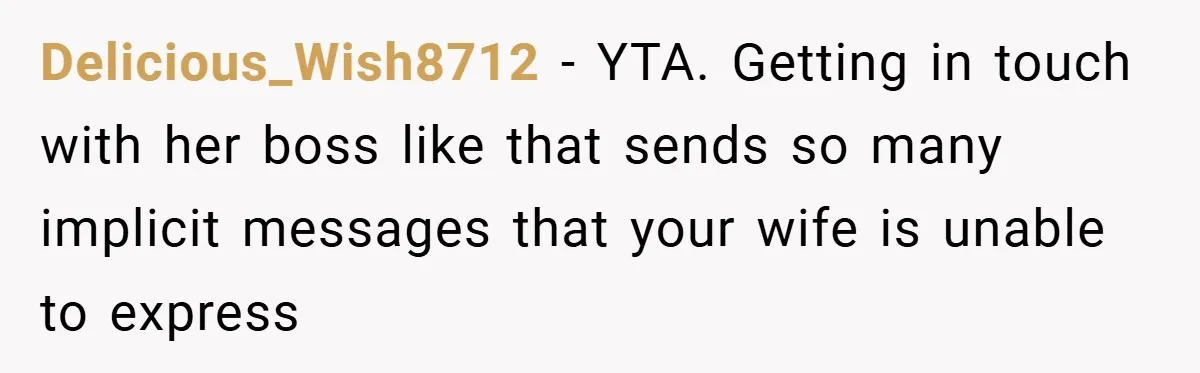 Delicious_Wish8712 − YTA. Getting in touch with her boss like that sends so many implicit messages that your wife is unable to express