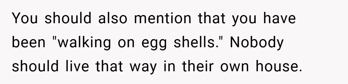 You should also mention that you have been "walking on egg shells." Nobody should live that way in their own house.