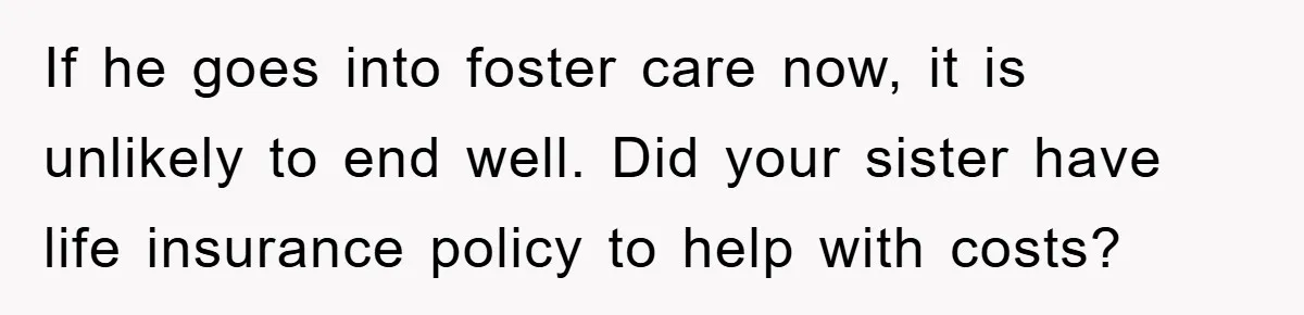 If he goes into foster care now, it is unlikely to end well. Did your sister have life insurance policy to help with costs?