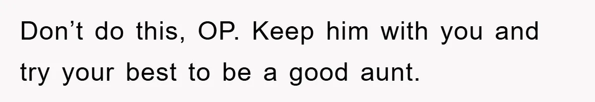 Don’t do this, OP. Keep him with you and try your best to be a good aunt.