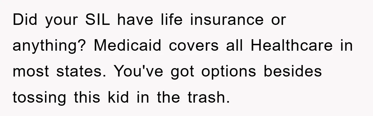 Did your SIL have life insurance or anything? Medicaid covers all Healthcare in most states. You've got options besides tossing this kid in the trash.