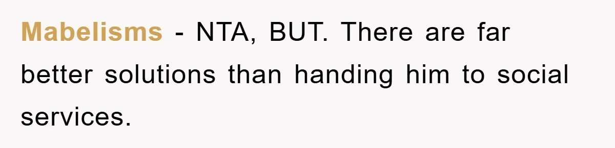 Mabelisms − NTA, BUT. There are far better solutions than handing him to social services.