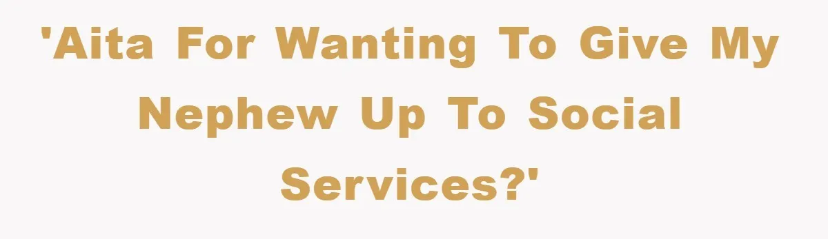 'AITA for wanting to give my nephew up to social services?'