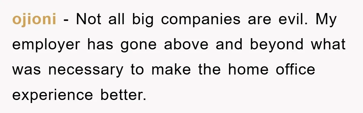 Supervisor Doesn’t Believe His Back Injury? He Sends Proof That Costs Her Her Job ojioni − Not all big companies are evil. My employer has gone above and beyond what was necessary to make the home office experience better.
